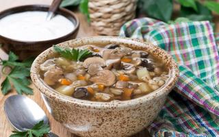 Супы из сушеных грибов: рецепты с фото